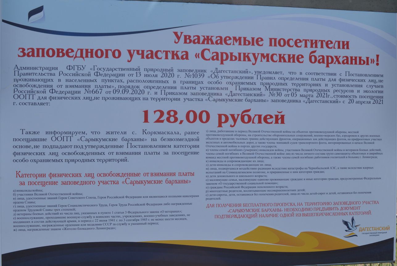 Сарыкумские барханы
